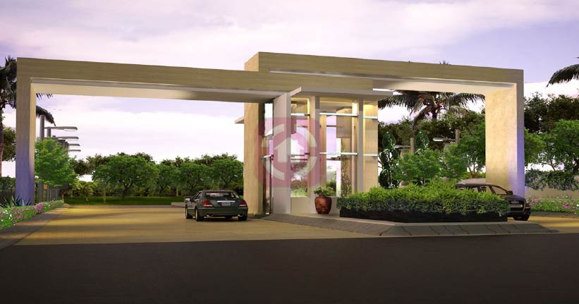 Grace Habitat The Golden Mile  Cover Image